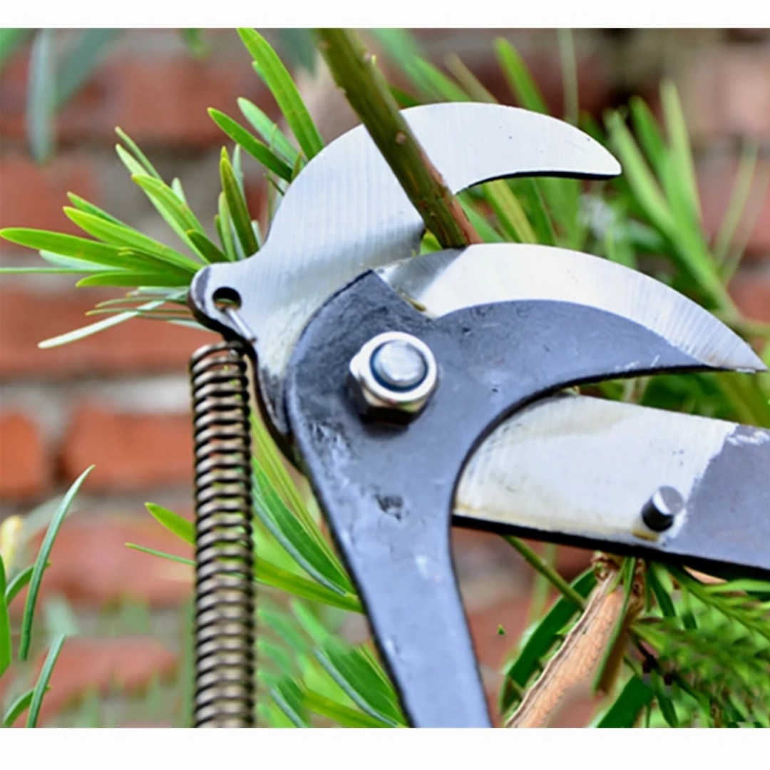 Tree,Trimming,Tools